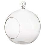 Hanging Clear Glass Globe